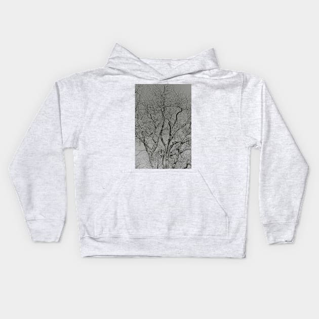 For The Love Of Trees - 2 - Monochrome © Kids Hoodie by PrinceJohn